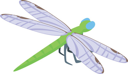 Insect dragonfly icon isometric vector. Flying wing. Summer insect