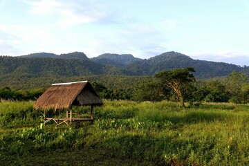 Old hut in a tropical area on a sunny day