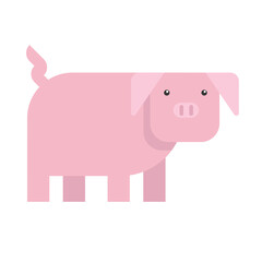 Pig PNG Format With Transparent Background