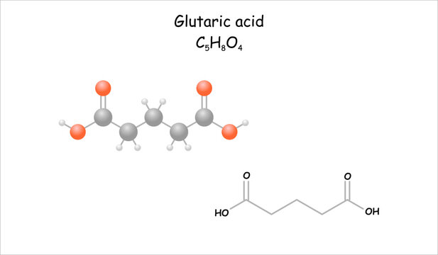 Stylized molecule model/structural formula of glutaric, acid