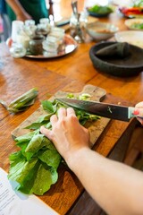 Closeup of a woman's hands chopping Bok choy cabbage in a balinese cooking school in Ubud, Indonesia
