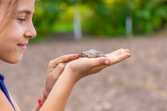 girl hold a toad in the palm of her hand. Selective focus