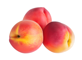 Peach fruit isolated on white or transparent background. Three whole peach fruits