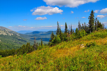 Fototapeta na wymiar Sunny summer mountain landscape. Popular ski resort Sheregesh in bright summer day, Mountains with deep coniferous forest covered. At foreground on slope is green meadow with wild flowers