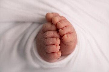 The tiny foot of a newborn. Soft feet of a newborn in a white blanket and on a white background. Close up of toes, heels and feet of a newborn baby. Studio Macro photography. Woman's happiness.