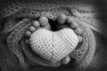 Feet of a newborn close-up in a woolen blanket. Pregnancy, motherhood, preparation and expectation of motherhood, the concept of the birth of a child. Black and white photography. 