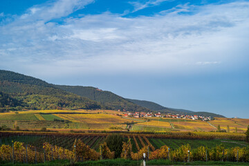 Fototapeta na wymiar landscape with village in south palatinate