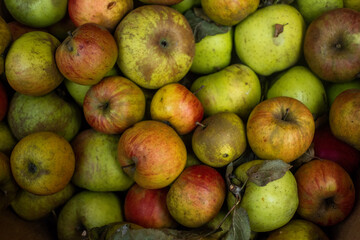 Äpfel