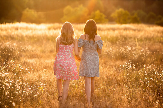 Two girls holding their hands and walking in the field in sunlight on summer evening
