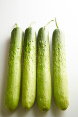 cucumber on a white background