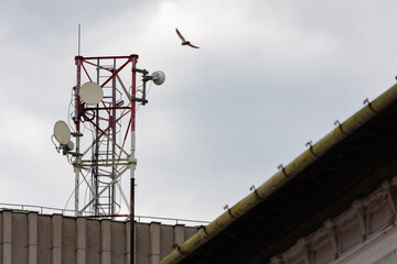 Microwave dish receivers or transmitters on a communication tower with a bird flying towards the...