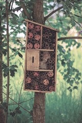 Closeup shot of a bee house on a tree