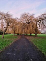 Beautiful shot of one of East London's parks taken during an autumny evening