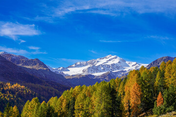 Hiking trail in South Tyrol in the Martell Valley