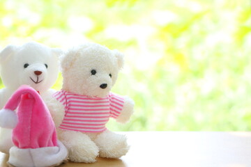 Close up couple teddy bear with pink Christmas cap on blur yellow green and white bokeh background have copy space for put text