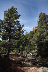 Hiking trail in South Tyrol in the Martell Valley