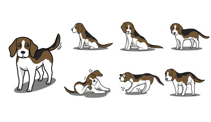 Set of beagle dog. vector illustration