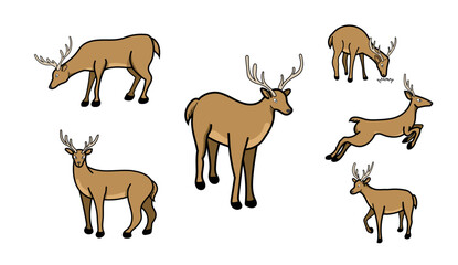 Set of deer vector illustration