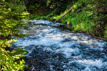 West Maroon creek river blue color water near Maroon bells lake in Aspen, Colorado with closeup of white water flowing in summer by forest of lush green foliage