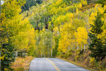 Castle Creek scenic road in October with colorful yellow orange leaves foliage in autumn fall season on trees in Aspen, Colorado Rocky Mountains