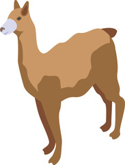 Lama icon isometric vector. Alpaca animal. Peru baby