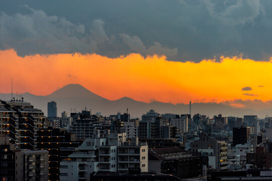 Shinjuku of Tokyo, Japan cityscape skyline at golden glow sunset with view of Mount Fuji mountain and sunlight with apartment buildings residential towers rooftop roof