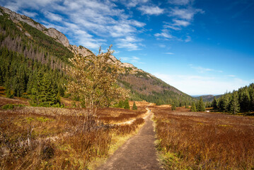 road in the mountains