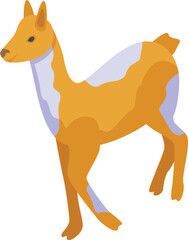 Wild lama icon isometric vector. Cool baby. Cute animal