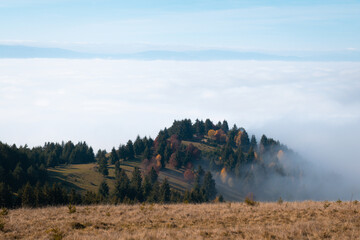 Autumn fog landscape. Foggy weather in autumn after rain