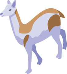 Lama animal icon isometric vector. Cute lama. Peru animal