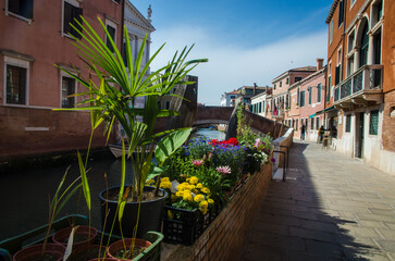 Uno scorcio di una calle di Venezia con le piante di un fioraio sistemate su un muro e un ponte in lontananza