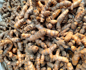 image of turmeric (haldi) root.