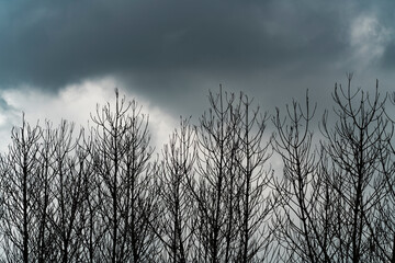 The beginning of the storm