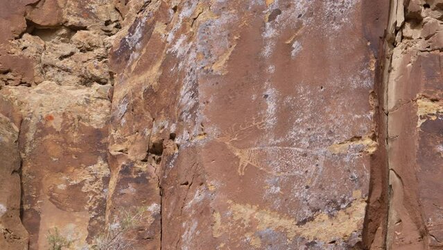 Elk Petroglyph on rock wall in the Utah desert as part of the world's largest art gallery.