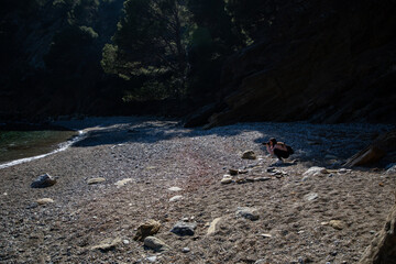 Beautiful woman crouching taking a picture of a pebbles beach at a creek