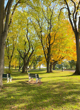 Banc de parc dans un espace vert &agrave; l'automne. Lumi&egrave;re douce du soleil sur les arbres de la for&ecirc;t et les chaises. Bancs public dans un parc nature.