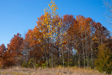 Autumn landscape at Buffalo Rock.