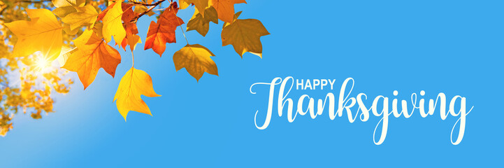 Happy Thanksgiving header or web banner, Canadian fall panoramic background, sun, yellow maple leaves and blue sky in Canada