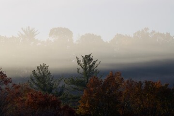 Fog rolling through the Dell.