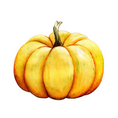Bright large pumpkin, side view, watercolor illustration 