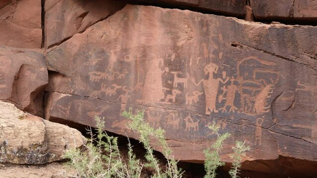 Panning view of rock art panel in Nine Mile Canyon Utah as birds fly by.