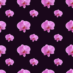 Beautiful seamless pattern of pink orchid flowers. Orchids pattern for design on dark purple background.