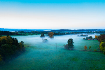 meadow with fog in the morning
