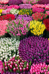 Colorful tulips on sale at flower market. Spring background