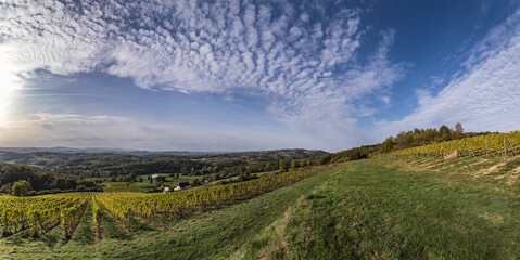 Naklejka premium Donzenac (Corrèze, France) - Vue panoramique sur les vignobles de la vallée de la Vézère en automne