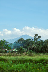 Mountain view on a sunny afternoon