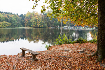 Buchenwald an einem See im eine Sitzbank im Vordergrund Bootsstege am ufer gegenüber