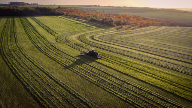 Gras m&auml;hen mit Fendt