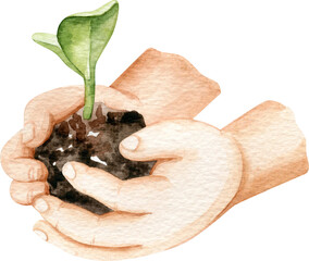 Baby hands holding a green sprout with clod of soil.  Garden watercolor illustration isolated on white background, hand drawn clipart. Human body fragment.