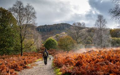 Autumn in the Lake District National Park Cumbria UK - obrazy, fototapety, plakaty